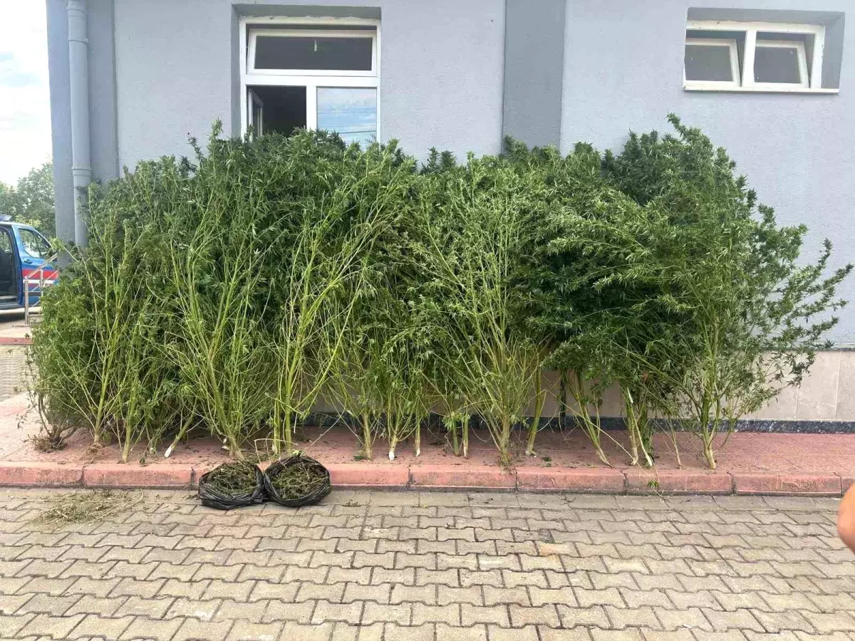 inegolde uyusturucu operasyonu VLJDgAXe