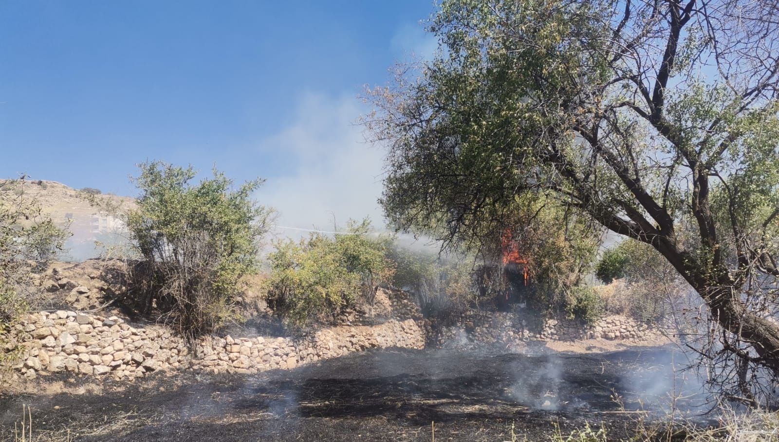 Mardin’in 2 ilçesinde örtü yangını