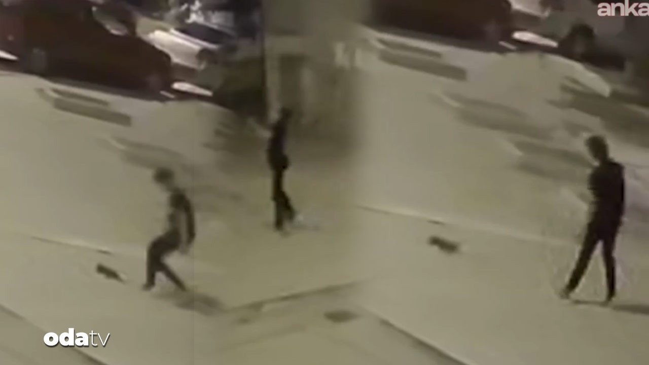 yavru kediyi firlatarak oldurdu xBg8mu3l