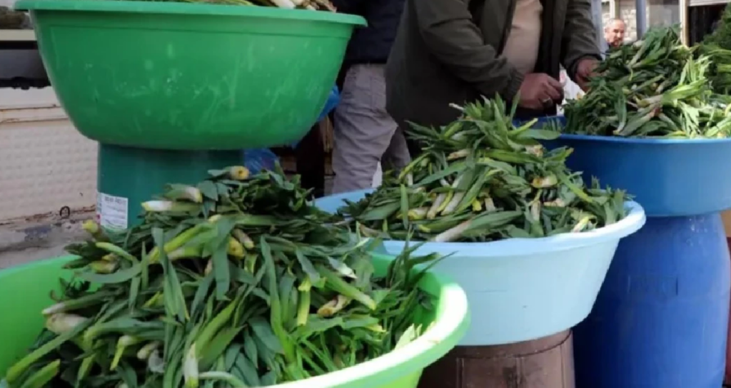 tezgahlarda-yerini-aldi-kilosu-500-tl-kapis-kapis-satiliyor-IFSZXtR1